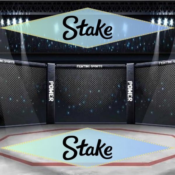 Stake_UFC